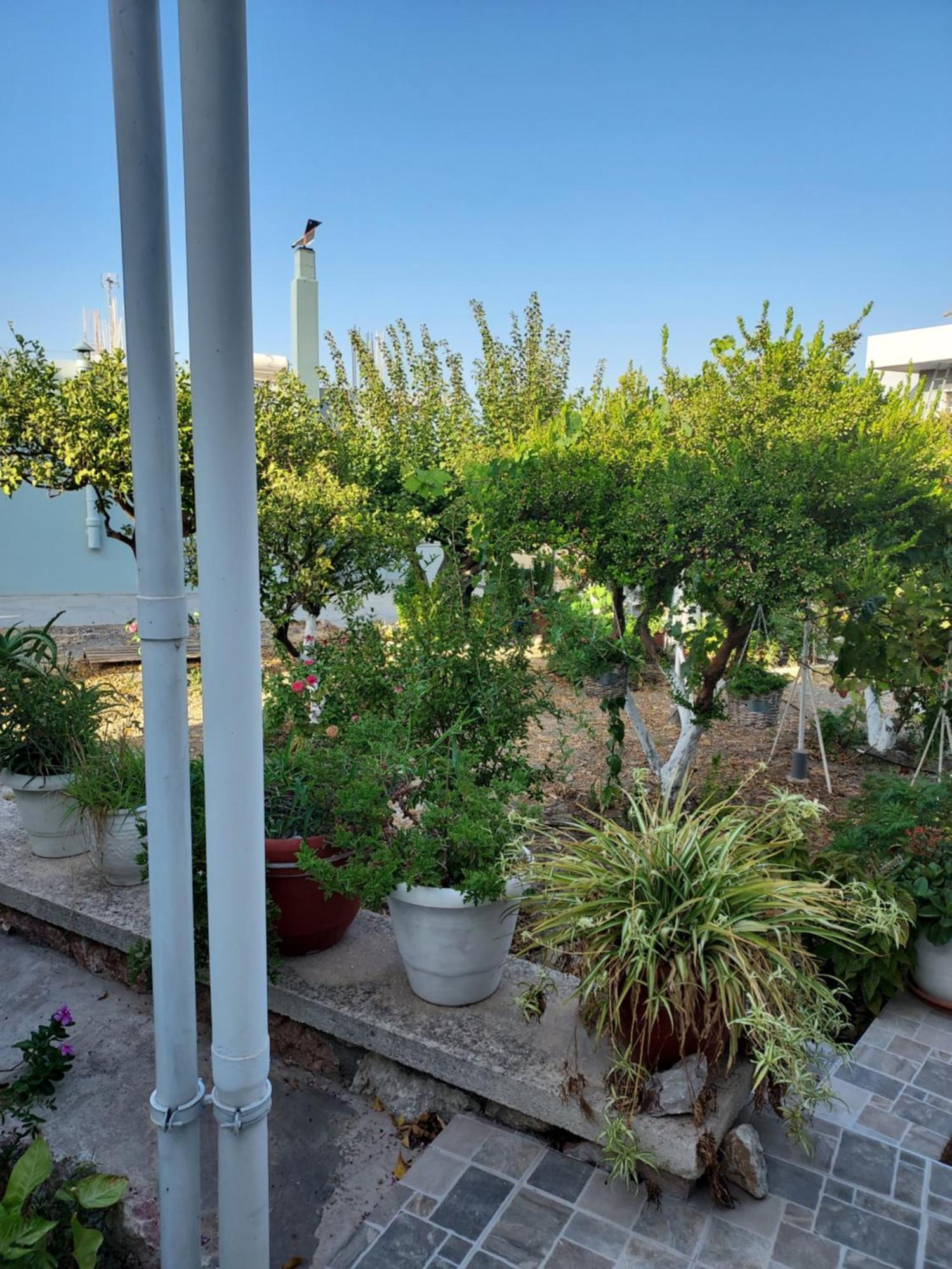 Anastasia'S Garden House Ialysos  Ngoại thất bức ảnh